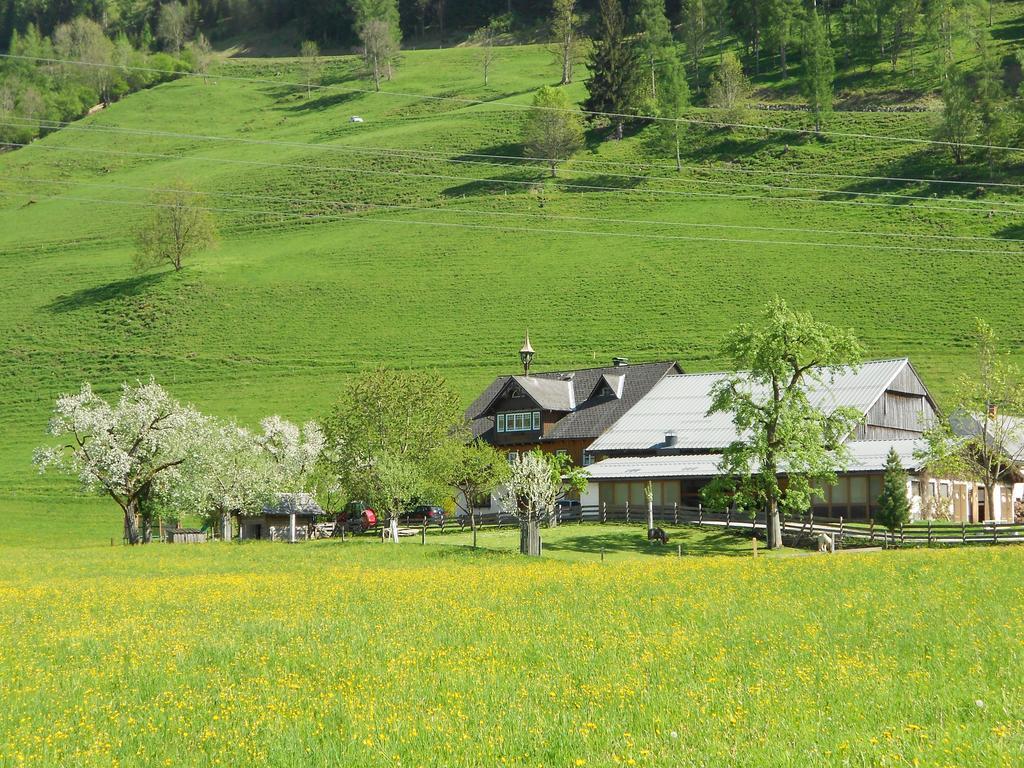 Weitgasserhof ชลัดมิง ภายนอก รูปภาพ